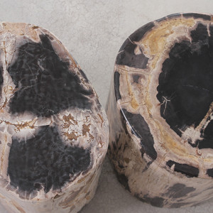 Genuine Dappled Petrified Wood Log Table
12 - 16 diameter x 16 - 17 H inches, each is unique expect variation