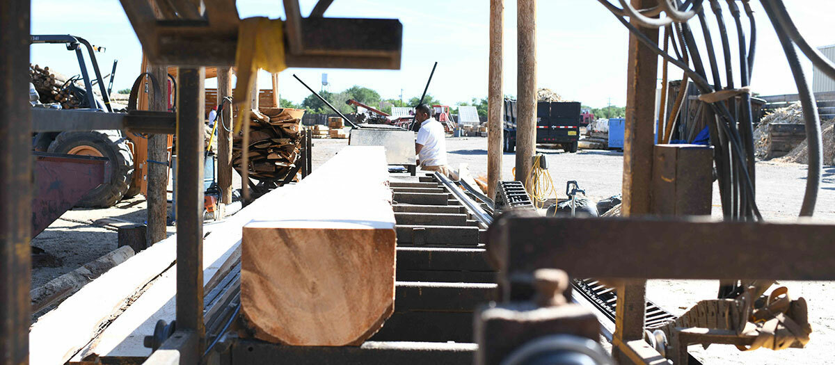 Sustainable Furniture